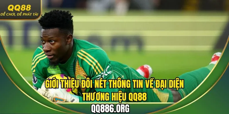 Khái niệm về sự hợp tác, phát triển cùng đại sứ thương hiệu